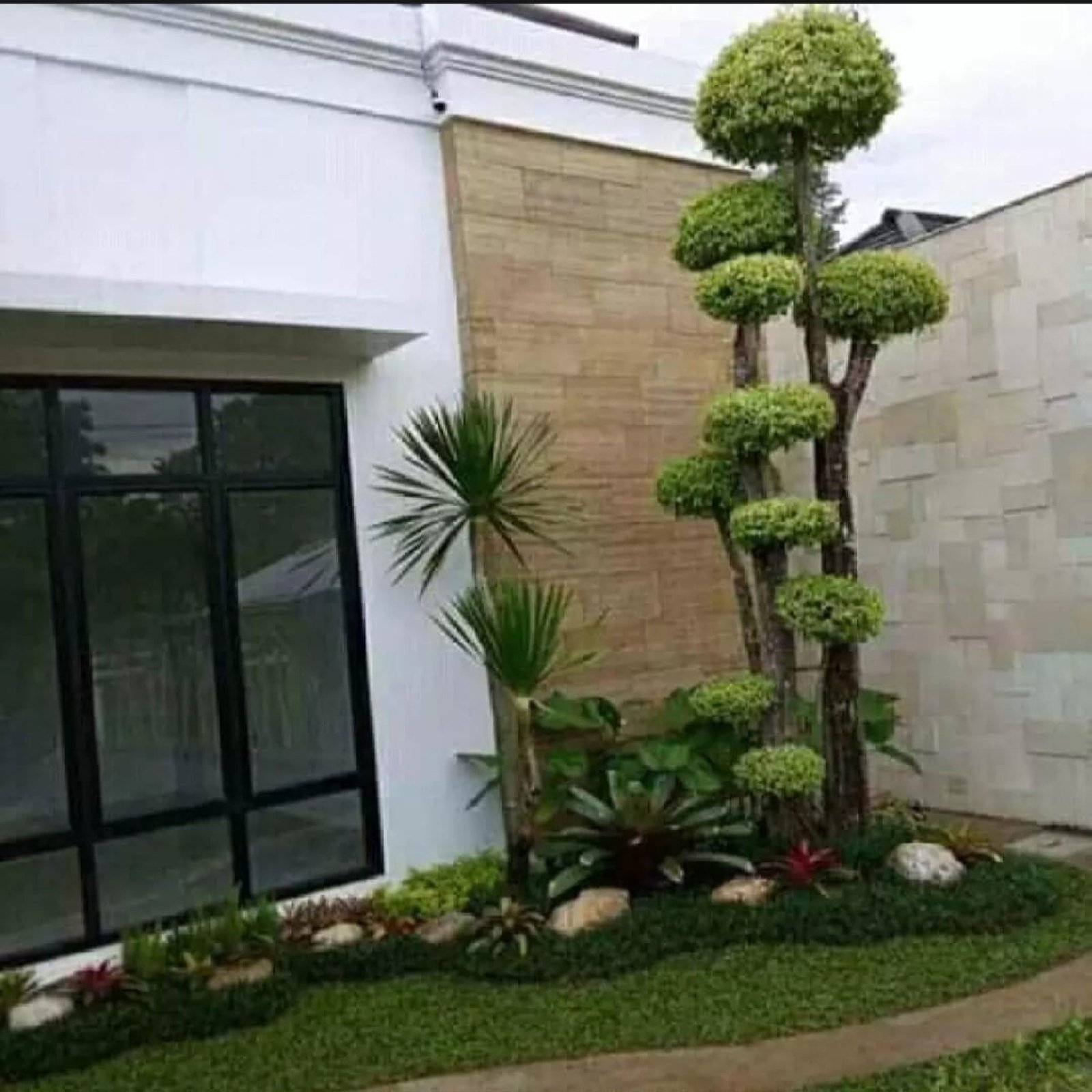 WhatsApp Image 2025-11-06 at 19.22.04