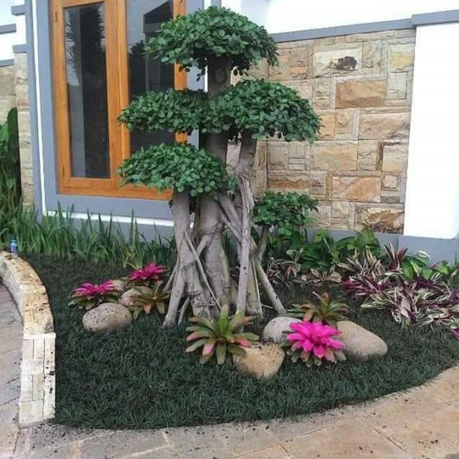 WhatsApp Image 2025-11-06 at 19.22.05