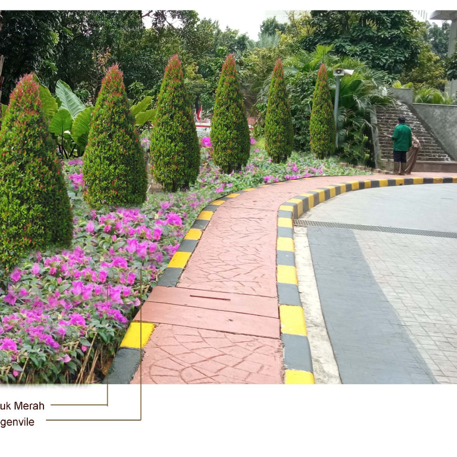 WhatsApp Image 2025-11-06 at 19.23.40